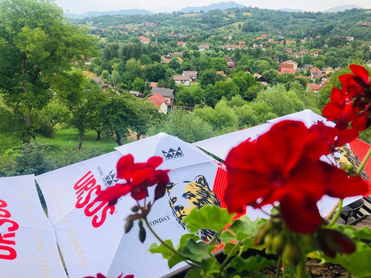 Pensiunea Ursulet Bran Bran (Brasov) Exterior foto